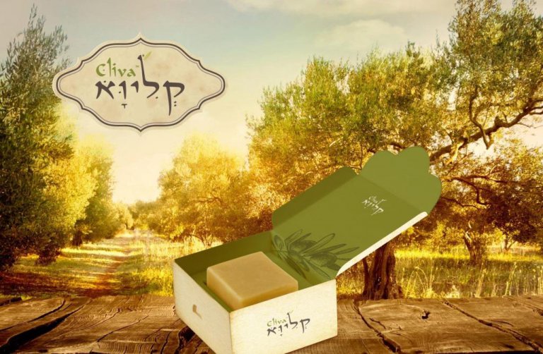 עיצוב אריזה – הדמיית קופסת סבון קליוא Cliva פתוחה על שולחן עץ במטע זיתים מואר בשמש | פורטפוליו קרנף סטודיו